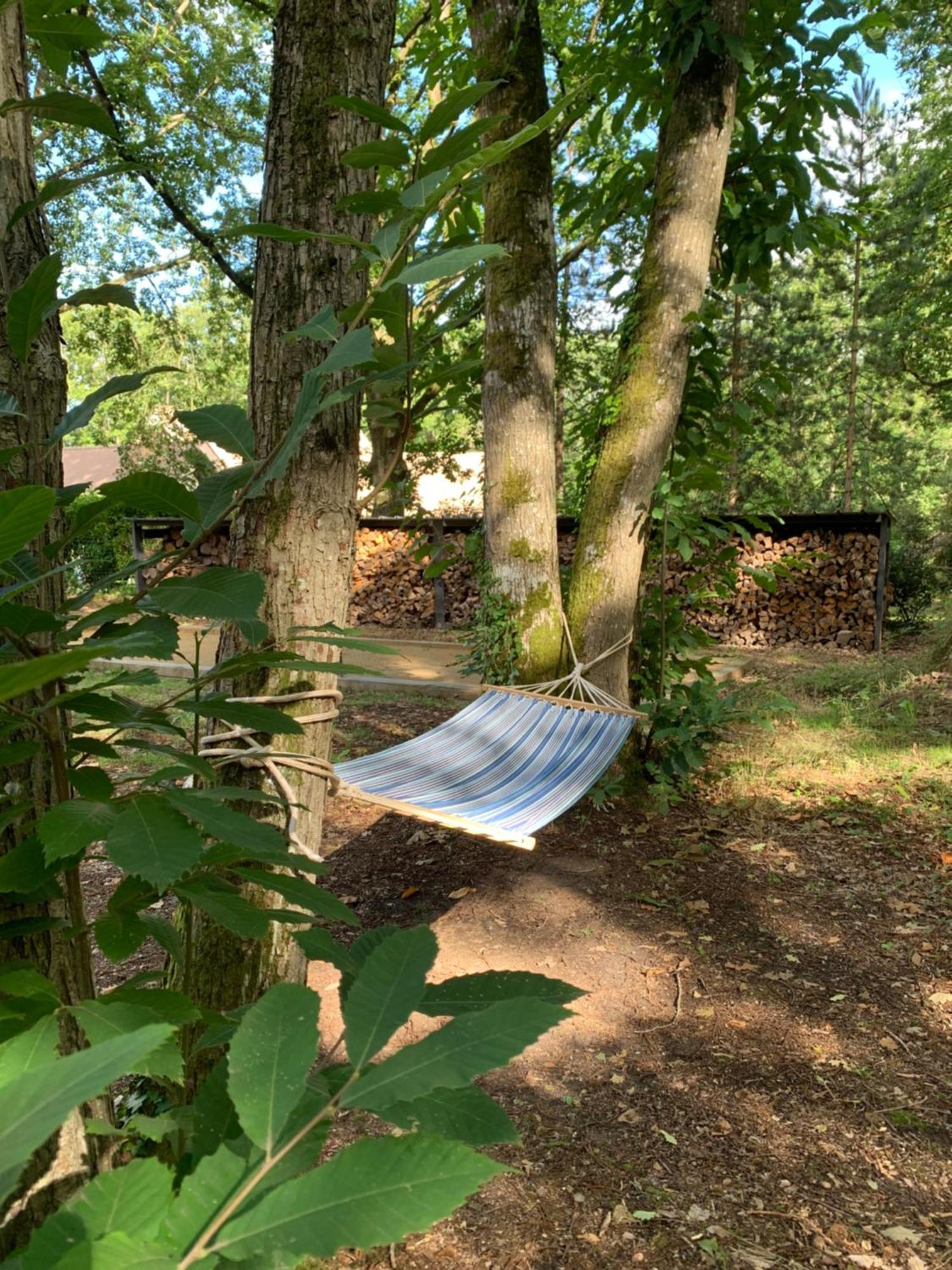 Somptueuse Villa D'Architecte Rochefort-en-Yvelines 外观 照片