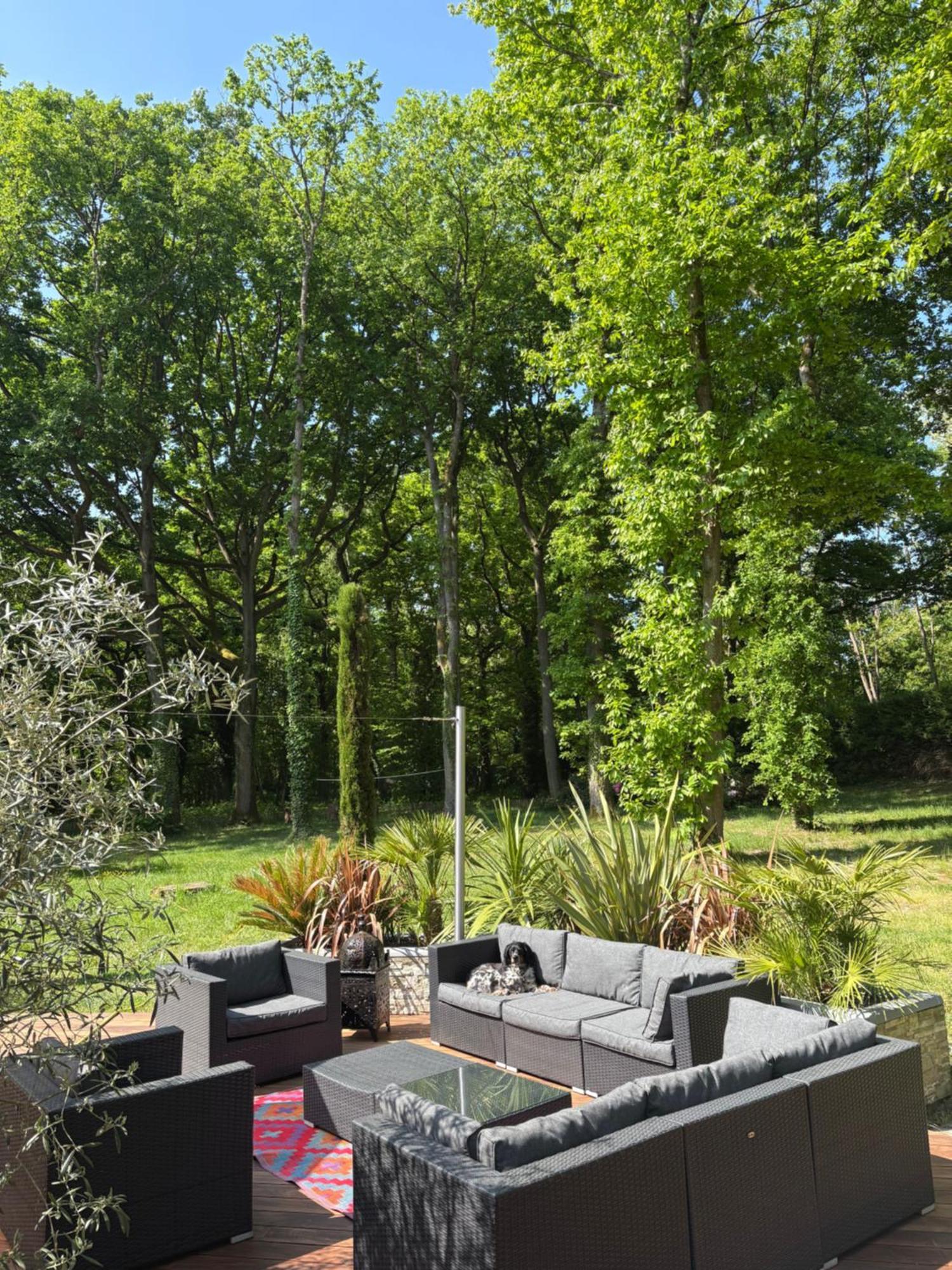 Somptueuse Villa D'Architecte Rochefort-en-Yvelines 外观 照片